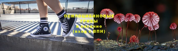 меф Дмитриев