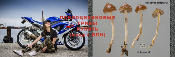 спиды Гусев