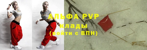 спиды Гусев