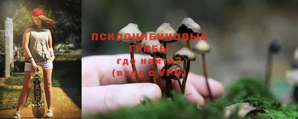 соль ск Гусь-Хрустальный