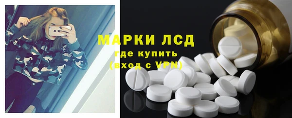 спиды Гусев
