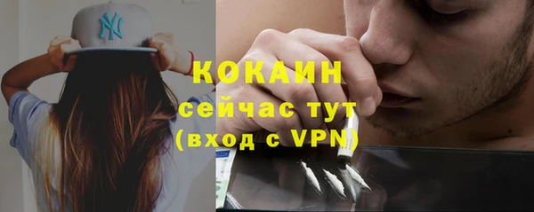 спиды Гусев