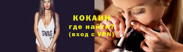 спиды Гусев