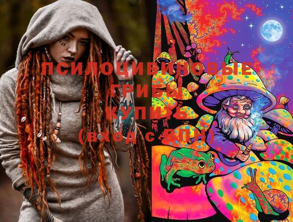 эйфоретик Гусиноозёрск