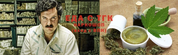 спиды Гусев