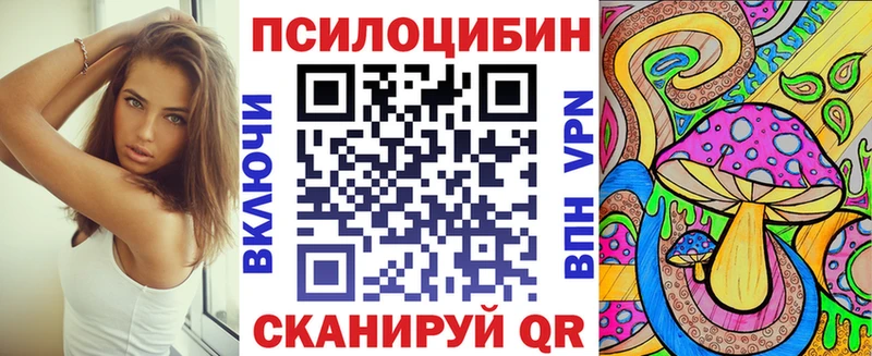 Купить где  Минусинск  Псилоцибиновые грибы Cubensis 
